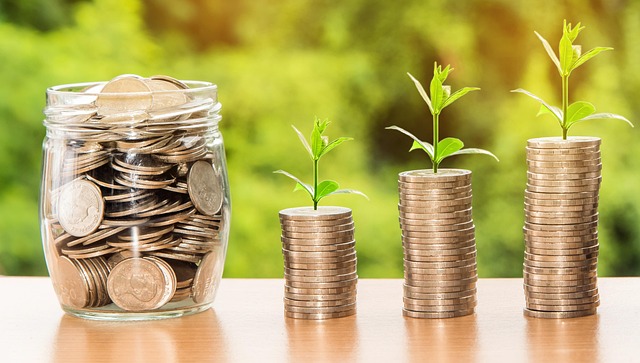 boekcover mindset wealth building langetermijn NeonLedger